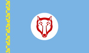 Flag_Gagausien.jpg