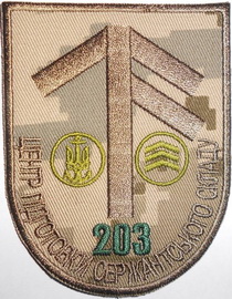 203 ЦПСС 2.jpg