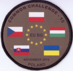 Common Challenge-2015 1+.jpg