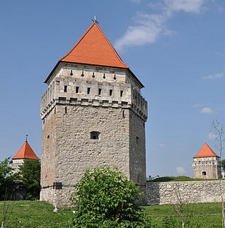 Skalat_Castle.jpg