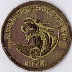 Цунамі бсп+.jpg