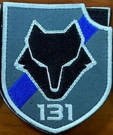 131 орб.jpg