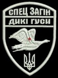 ДГ сз.jpg