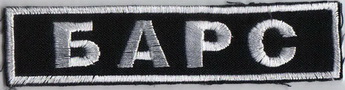 ВВ груд Барс 1+.jpg