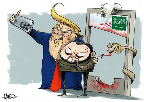 Planes de Paz.jpg