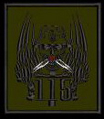 115 бто.jpg