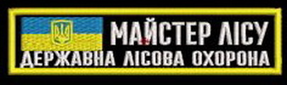 ДЛО г майстер лісу.jpg