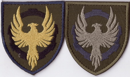 50 рвп+.jpg