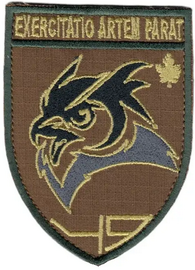 49 3.png