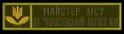 ЛГ Коростень МЛг.jpg