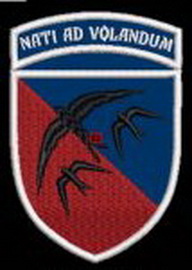 203.jpg