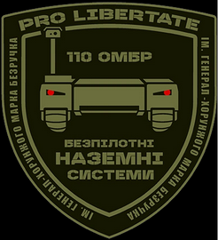 110_бнс.png