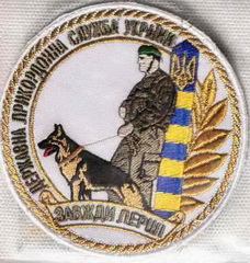 дмп.jpg