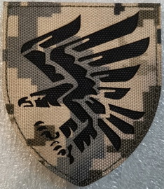 95.jpg