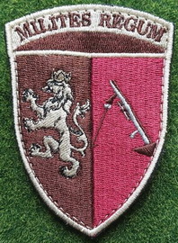 24.jpg