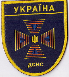 ДСНС+.jpg