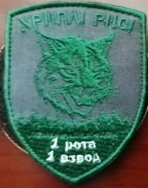 1р 1в.jpg