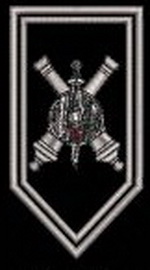 3 84376.jpg