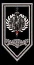 3 84375.jpg