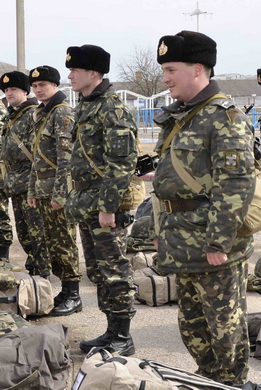 мп в33.jpg