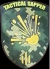 475 ошп_іб.png