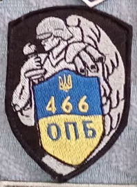 466.jpg