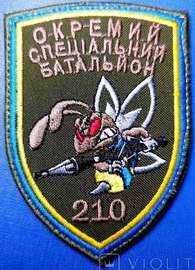 210.jpg
