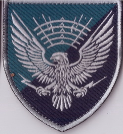 310+.jpg