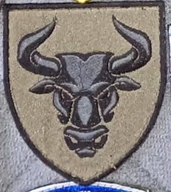 246.jpg